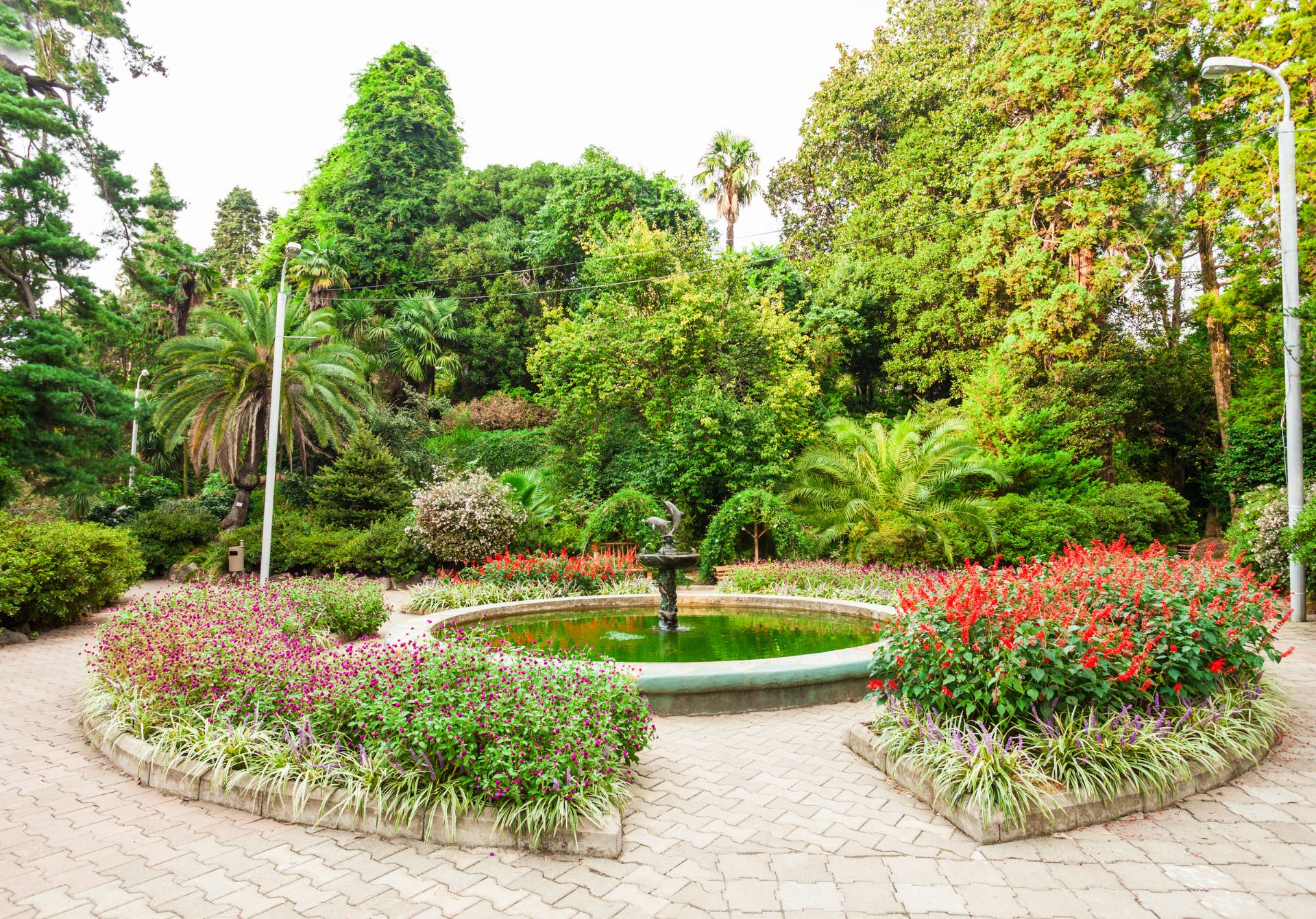 Batumi Botanical Garden